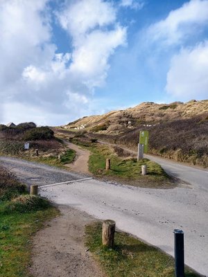 Godrevy Lighthouse by null