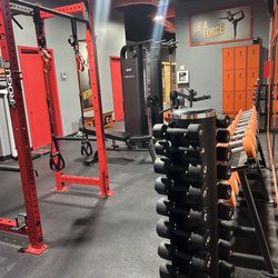 Weights section