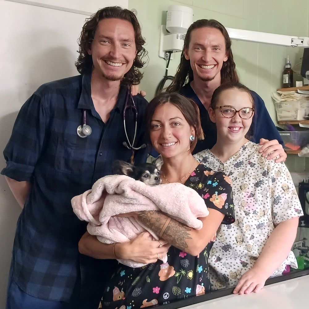 HILO VETERINARY CLINIC Updated May 2024 19 Reviews 585 Laukapu St