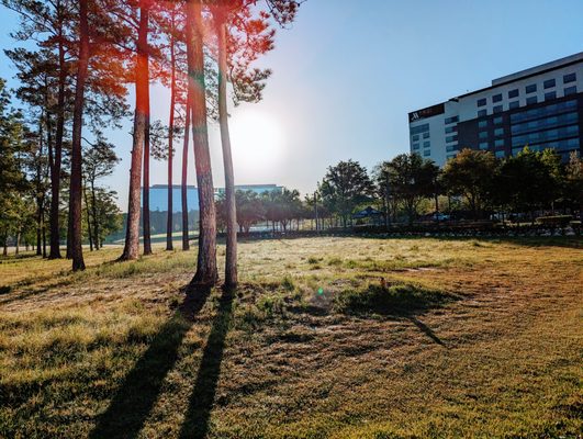 City Place, Spring TX by null