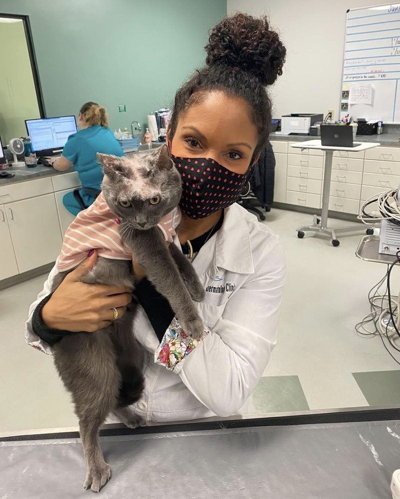 ANIMAL DERMATOLOGY CLINIC Updated September 2024 17 Photos 10302