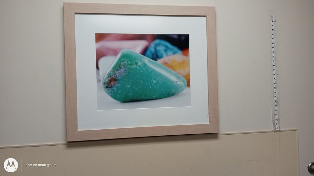 Orange Park Medical Center - patient advocate in Orange Park, FL