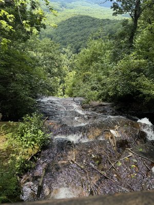 Amicalola Falls State Park by null