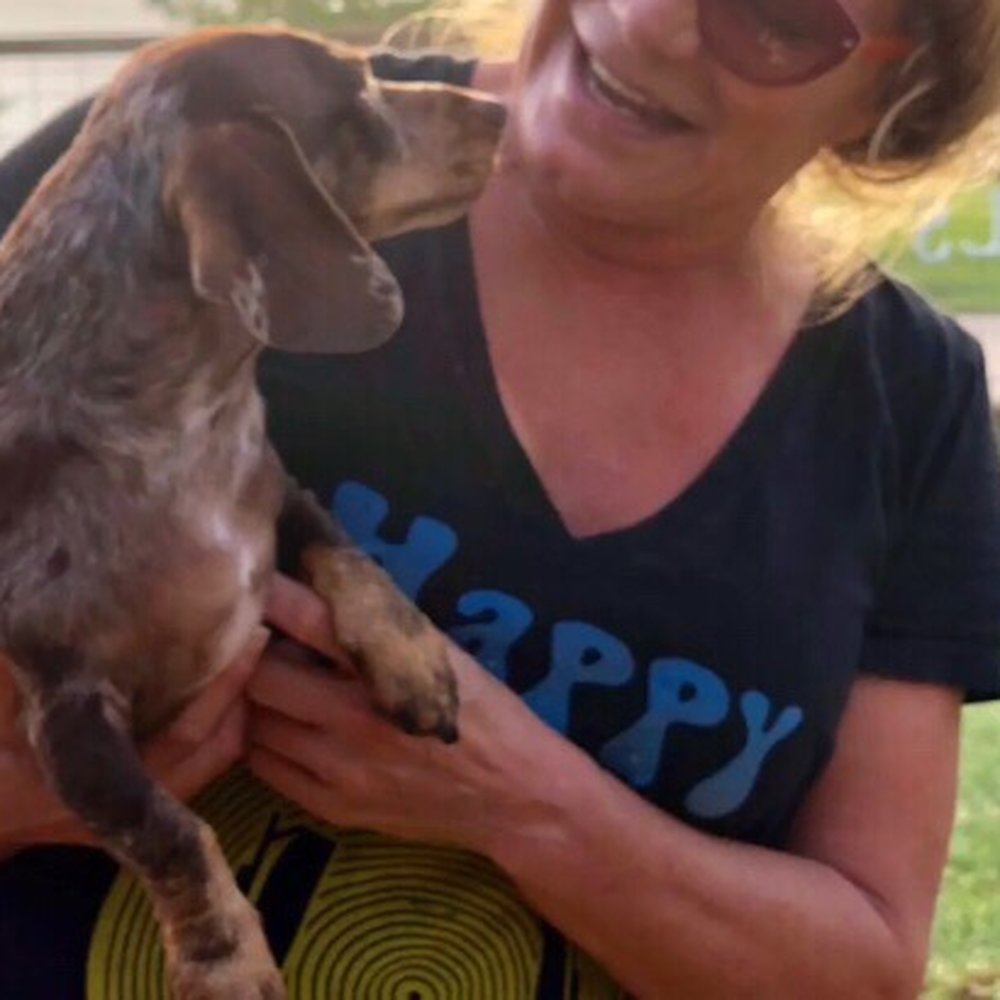 Happy Hounds Hotels - Pet Boarding Near Me - Kyle, Texas Happy Hounds Hotels - Pet Boarding Near Me - Kyle, Texas