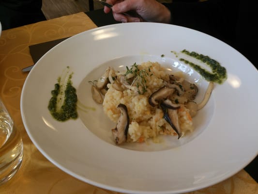 Café Orchidee by null