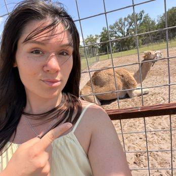 Dade City Farms - Attraction Farms Near Me - Dade City, Florida Dade City Farms - Attraction Farms Near Me - Dade City, Florida