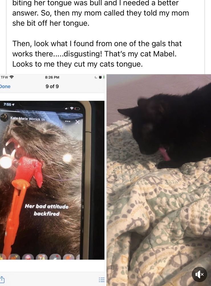 ST BETHLEHEM ANIMAL CLINIC Updated August 2024 120 Kraft St