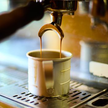 Seven Seas Roasting - Coffee Roasteries Near Me - Encinitas, California Seven Seas Roasting - Coffee Roasteries Near Me - Encinitas, California