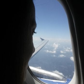 Allegiant International - Business Consulting Near Me - Indianapolis, Indiana