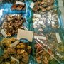 Photo of Fiorin Pasta