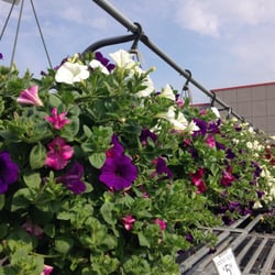 Nena Ace Hardware - Flower Shop