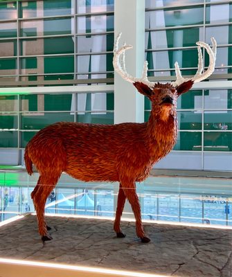 Fiserv Forum by null
