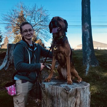 Optimum Dog - Old dogs learn new tricks too - Pet Training Near Me - Mount Vernon, Washington Optimum Dog - Old dogs learn new tricks too - Pet Training Near Me - Mount Vernon, Washington