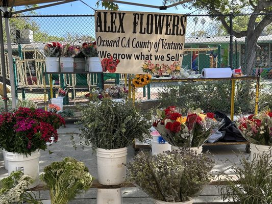 Brentwood Farmers Market by null