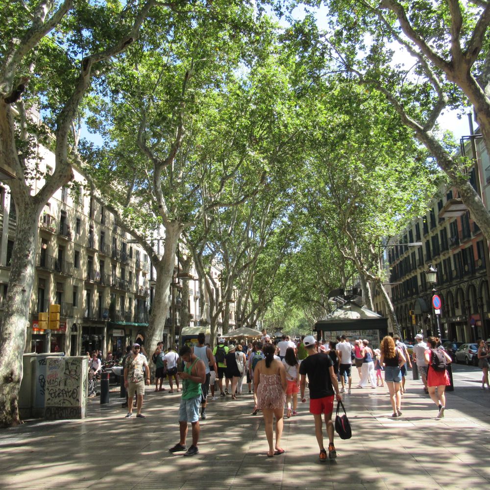 Las Ramblas - a good stroll - Local Flavor Near Me - Barcelona, B