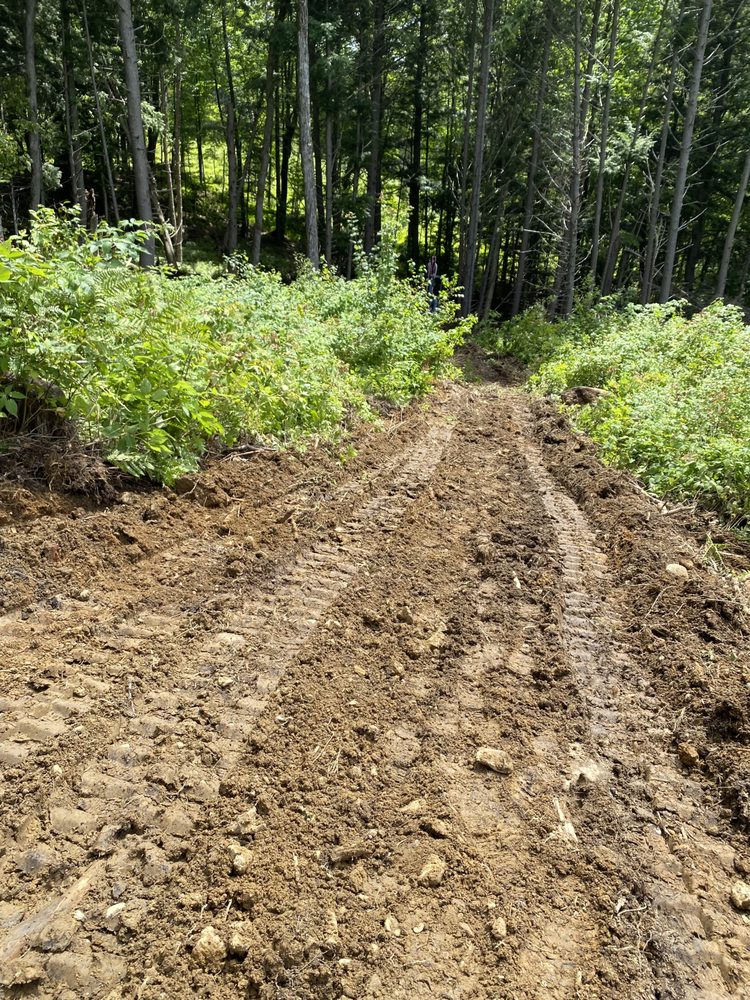 Muddy Trax Excavating - tree service in Burlington, VT