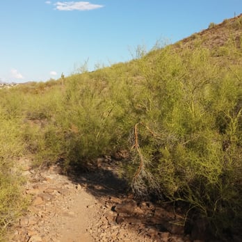 Shaw Butte Recreation Area - Parks Near Me - Phoenix, Arizona