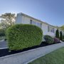 Photo of Pimentel Landscaping