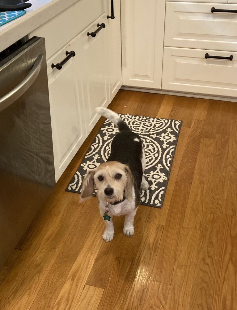 Bark & Bath Image