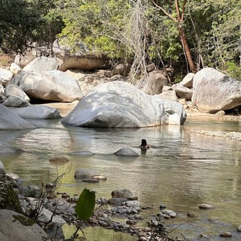 Vallarta Botanical Gardens - River - Botanical Gardens Near Me - Cabo Corrientes, JAL Vallarta Botanical Gardens - River - Botanical Gardens Near Me - Cabo Corrientes, JAL