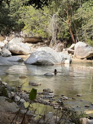 Vallarta Botanical Gardens AC by null