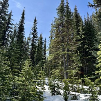 Jasper National Park - Parks Near Me