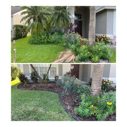our garden before & after our garden before & after