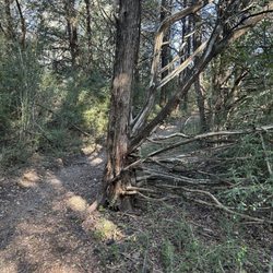 Oak Cliff Nature Preserve