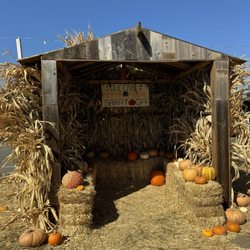 Queens Pumpkin Patch - Booth photo area (as of 10.5.24)