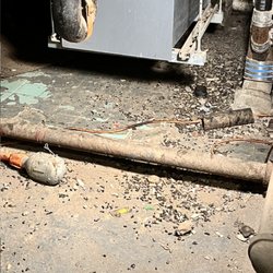 Centennial Properties NY - Rat feces in the basement of 380 E 10th Street