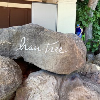 Hau Tree Bar - Grabbing lunch - Local Flavor Near Me - Honolulu, Hawaii