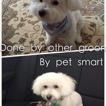 PetSmart - Pet Groomers Near Me - Etobicoke, Ontario PetSmart - Pet Groomers Near Me - Etobicoke, Ontario