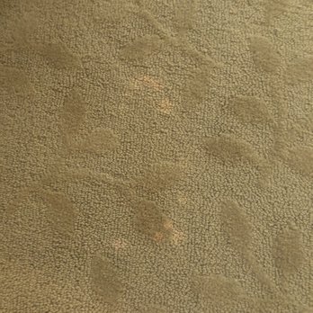 Color Spot Carpet - Bleach or Cleaning Product stain. - Carpet Dyeing Near Me