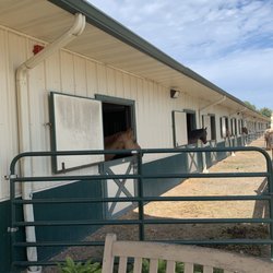 Equestrian Connection