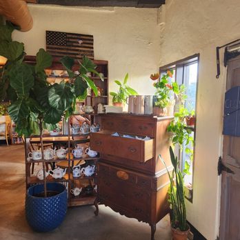 Bear & Dragon - Coffee & Tea Near Me - Prescott, Arizona Bear & Dragon - Coffee & Tea Near Me - Prescott, Arizona