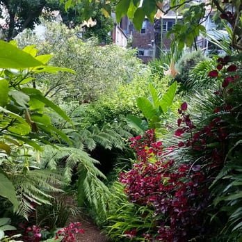 Wendy Whiteley's Secret Garden - Parks Near Me - Sydney, NSW