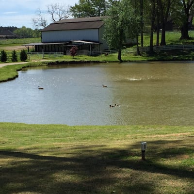 Little River Farms 14505 Batesville Rd Alpharetta Ga Banquet Rooms Mapquest