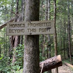 Jacks River Falls - If you see this sign, you're on the right track to the falls
