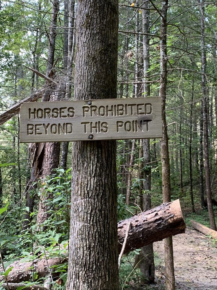 JACKS RIVER FALLS Updated September 2024 23 Photos Epworth, Hiking Phone