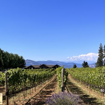 Stave & Stone Winery - Vineyard next door. - Wine Bars Near Me - Hood River, Oregon Stave & Stone Winery - Vineyard next door. - Wine Bars Near Me - Hood River, Oregon