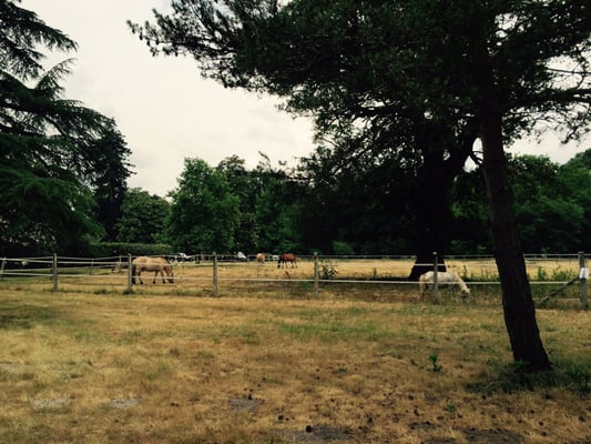 Château Léognan - Hotel & Area Viticole by null