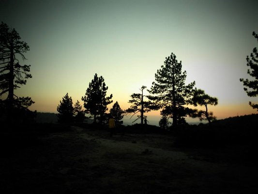 Tamarack Flat Campground by null