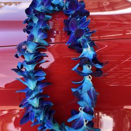 With only 1 day notice David was able to make this beautiful lei for a beautiful friend who was graduating collage! It was perfect.