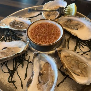 Aris Steakhouse - Oysters - Steakhouses Near Me - Austin, Texas Aris Steakhouse - Oysters - Steakhouses Near Me - Austin, Texas