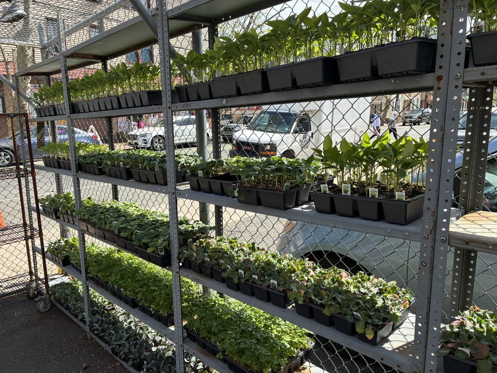 International Florist