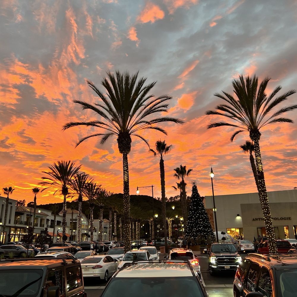 Nicole Miller 2053 Village Park Way, Encinitas, CA 92024 - Last Updated  January 2026 - Yelp