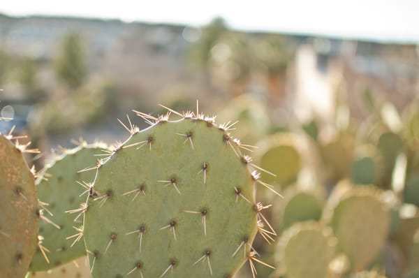 Sierra Grande by null