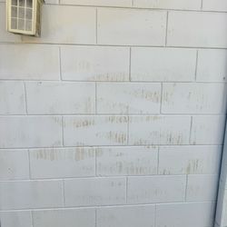 Splash Mobile Pressure Washing & Detailing