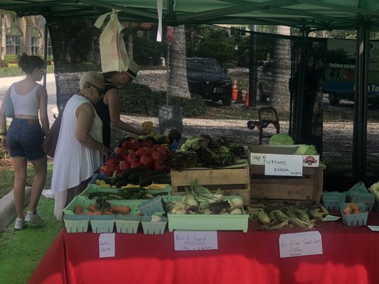 The Gardens GreenMarket by null