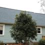 Photo of All American Roofing & Restoration